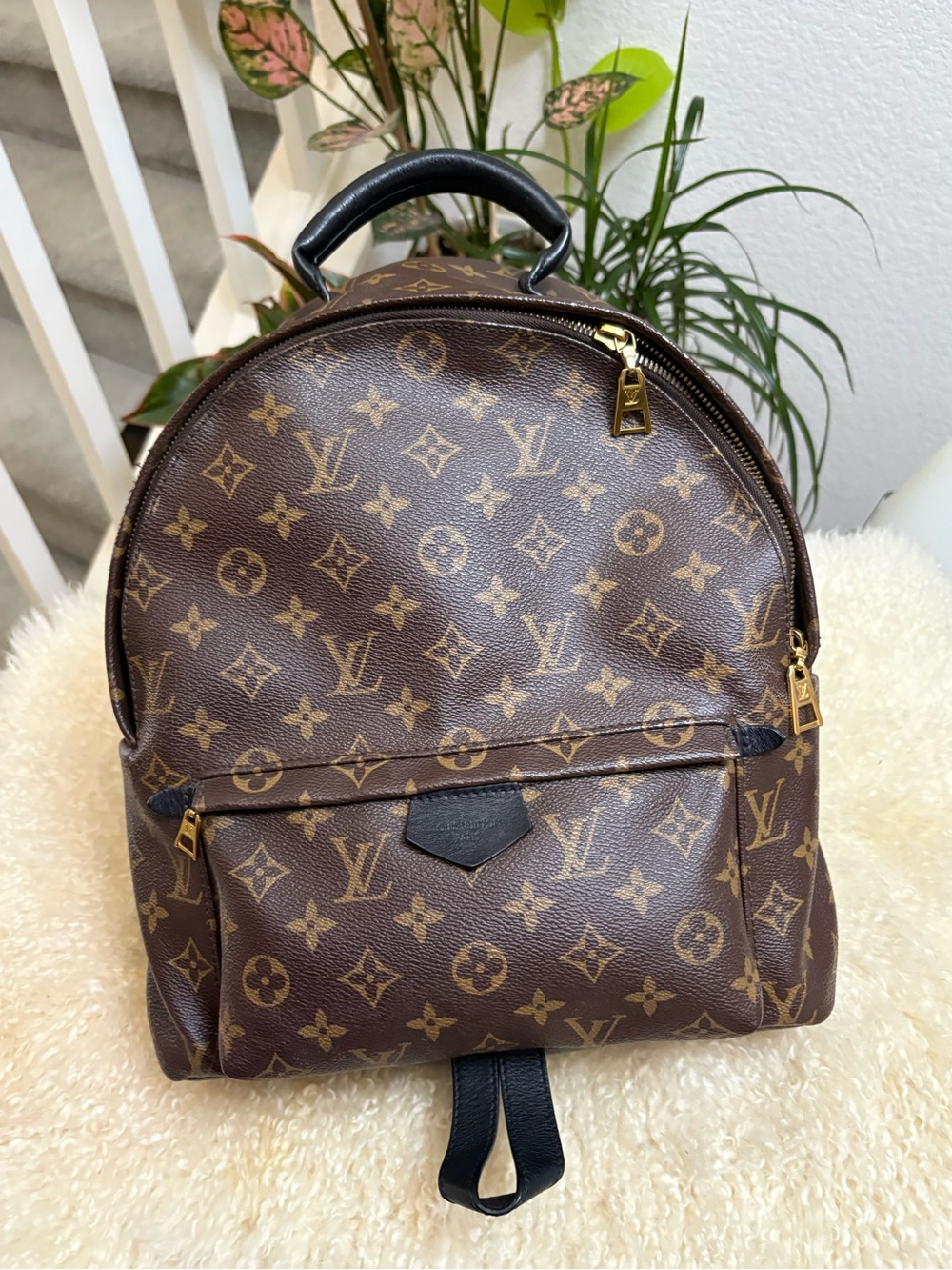 Louis Vuitton Palm Springs MM backpack
